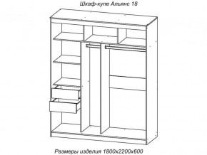 Шкаф-купе Альянс 18 комплект зеркал №4 в Катав-Ивановске - katav-ivanovsk.magazinmebel.ru | фото - изображение 2