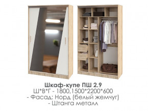 шкаф-купе ПШ-2.9 1500 Норд Белый жемчуг 1500 в Катав-Ивановске - katav-ivanovsk.magazinmebel.ru | фото